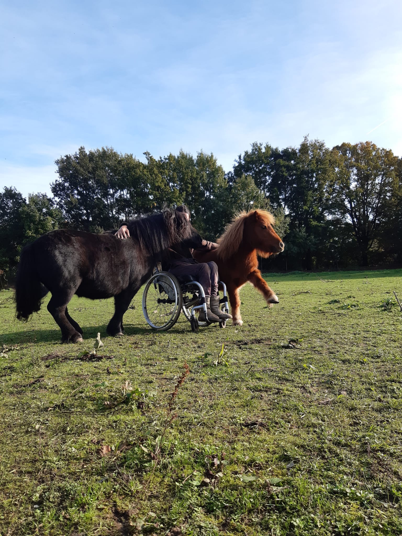 Ongevraagde oefeningen – wat te doen?